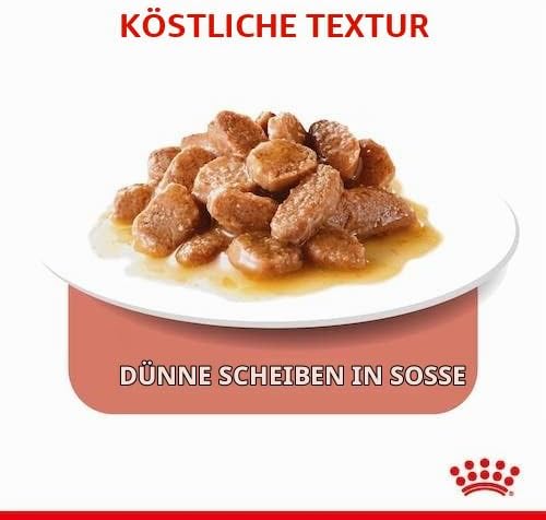 Royal Canin Light Weight Care Gravy | Doppelpack | 2 x 12 x 85 g | Nassfutter für Katzen | Zur Unter