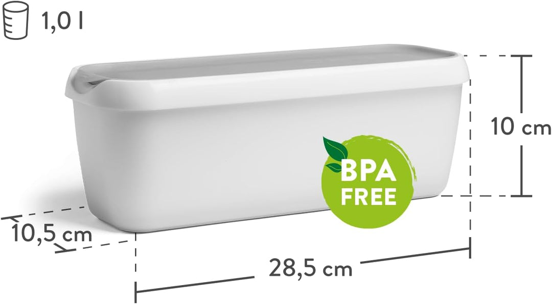 SPRINGLANE 2er-Set Eisbehälter für Speiseeis 1 L, Aufbewahrungsbehälter, Gefrierdosen, Eis-Container