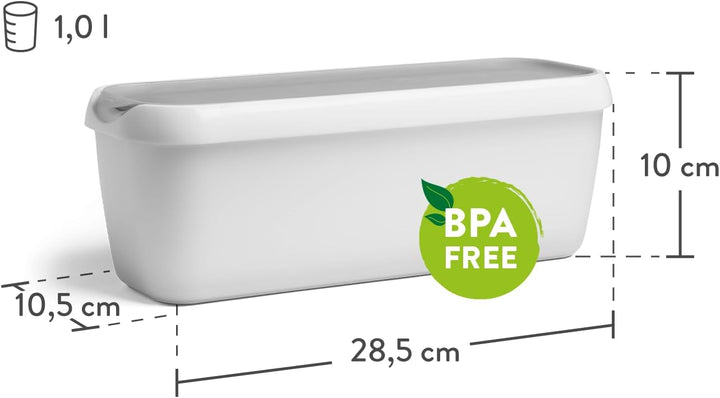 SPRINGLANE 2er-Set Eisbehälter für Speiseeis 1 L, Aufbewahrungsbehälter, Gefrierdosen, Eis-Container