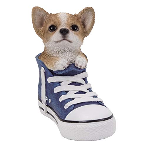 Pacific Giftware PT All Star Dekofigur Chihuahua Welpe im Schuh