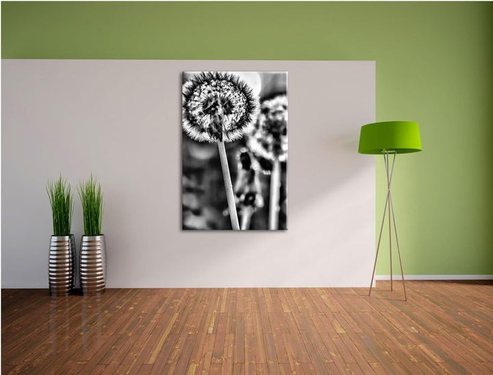 Monocrome, Pusteblume, Format: 100x70 auf Leinwand, XXL riesige Bilder fertig gerahmt mit Keilrahmen