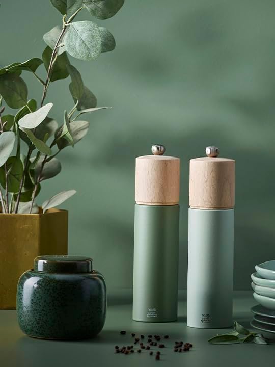 PEUGEOT - Salzmühle Boreal 21 cm - Klassische Mahlgradeinstellung - Aus PEFC-zertifiziertem Buchenho