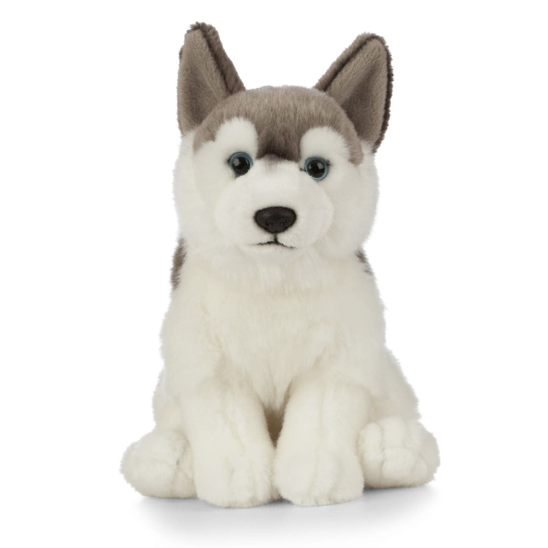 Living Nature Soft Toy - Stofftier Husky (20cm) Husky 21 cm, Husky 21 cm