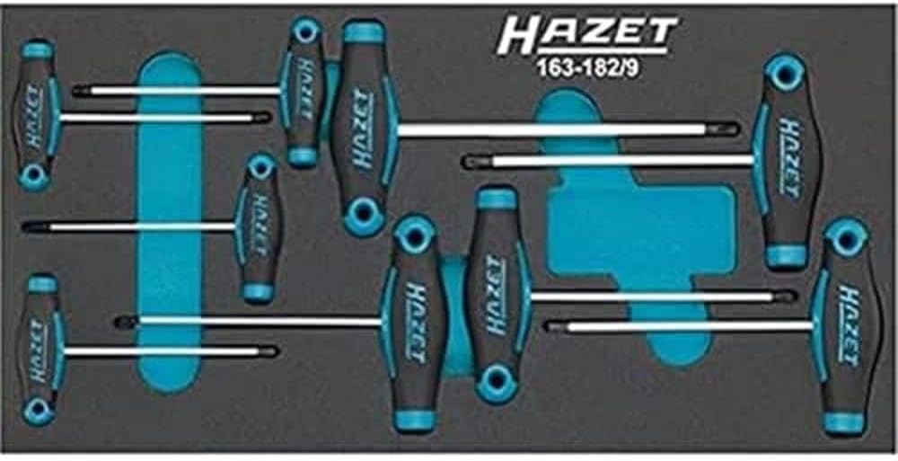 HAZET 163-182/9 Torx-Schraubendreher-Satz, 163-182/9
