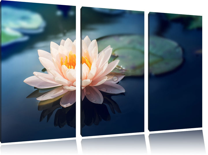 Pixxprint Eine schöne rosa Lotosblume in Teich 3-Teiler Leinwandbild 120x80 Bild auf Leinwand