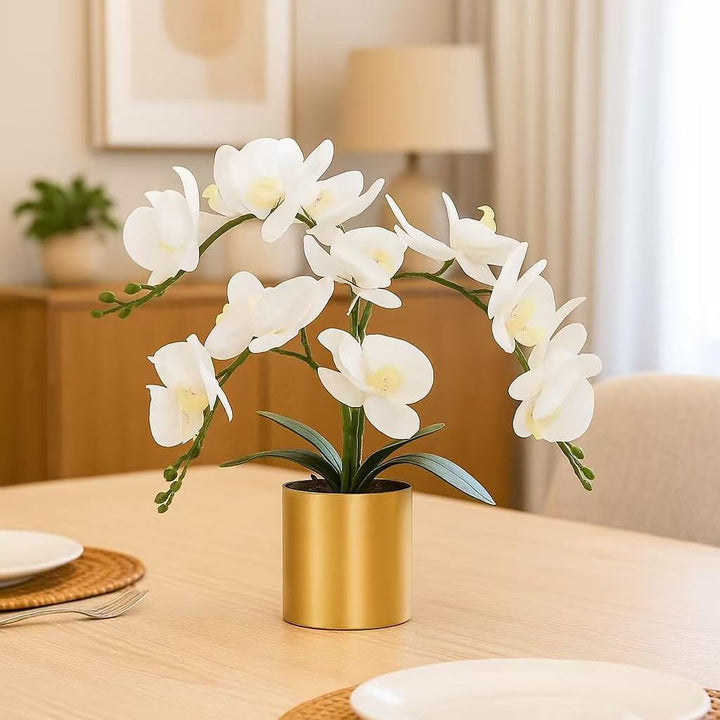 LESING Künstliche Orchidee mit Vase, weisse Orchidee Bonsai künstliche Orchidee Phalaenopsis Pflanzt