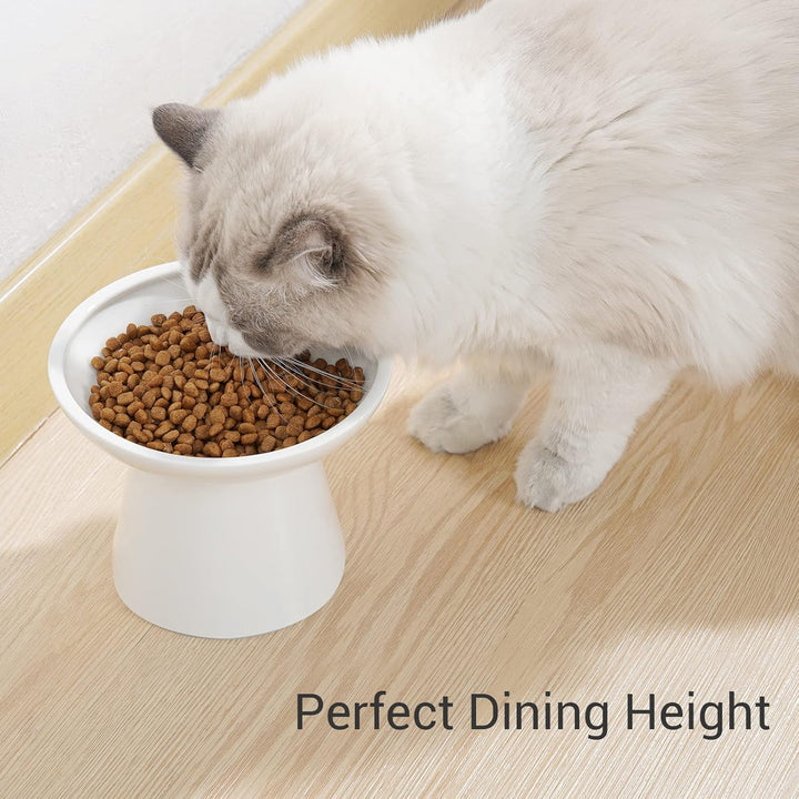 CEEFU Extra breite Katzennäpfe - keramischer Katzennapf 15,7cm Erhöhter Flacher Boden Katzennapf, Sc