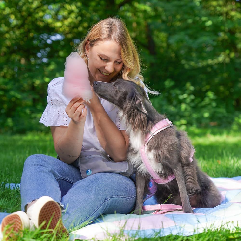 Anny-X Brustgeschirr Fun Zuckerwatte | Hundegeschirr Grösse S-Lang (Brustumfang 52-64 cm)