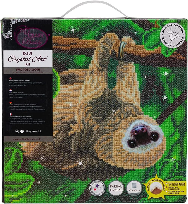 CAK-A143M: "Two Toed Faultier", 30 x 30 cm