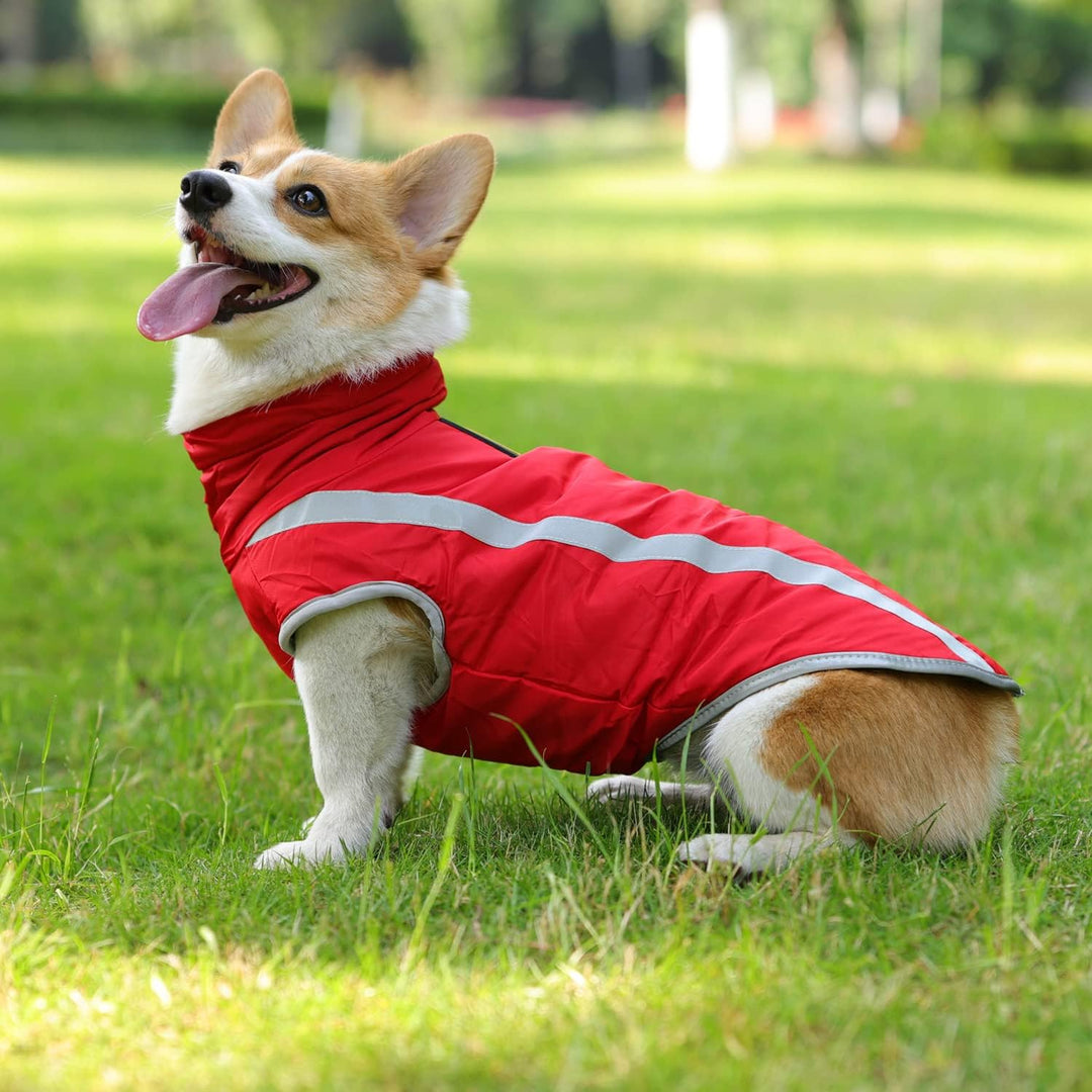 FEimaX Hundemantel Hundejacke wasserdichte Reflektierende Wintermantel mit Fleece Gefüttert Hund Wel