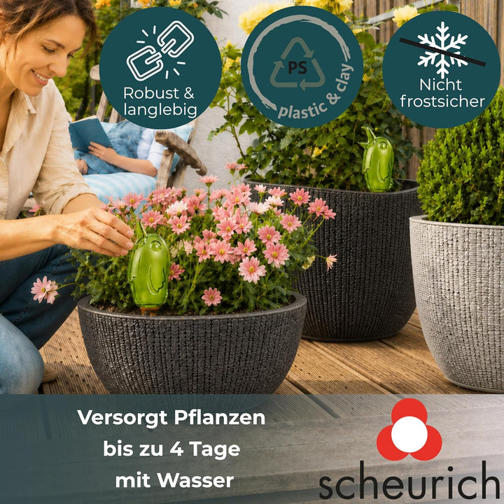 Scheurich 4er-Set Bewässerungskugel 220ml GrünWasserspender Bördy M (Grün) Wasserspeicher