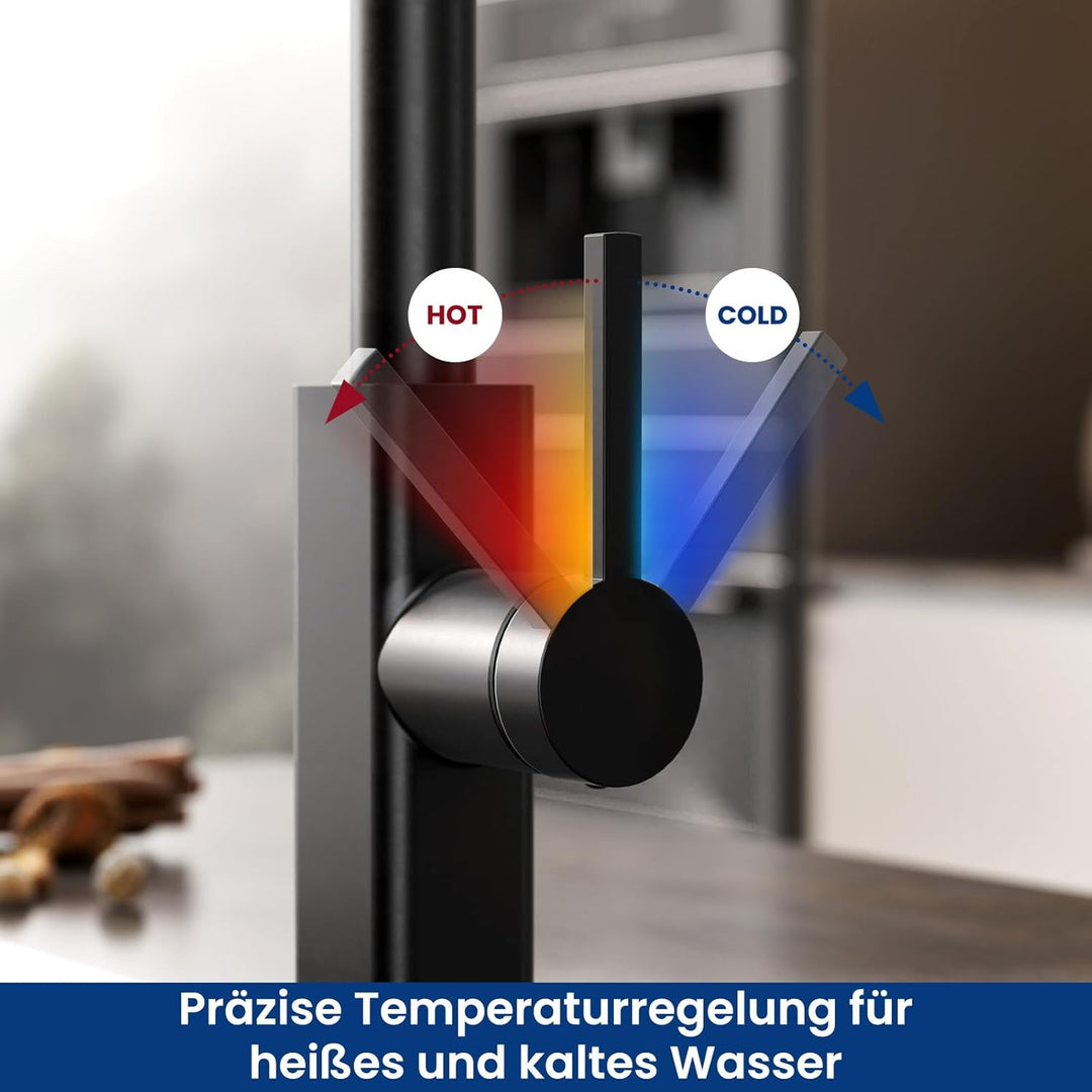 CECIPA Wasserhahn Küche Schwarz Ausziehbar, Küchenarmatur mit Brause Edelstahl, Spültischarmatur Hoc