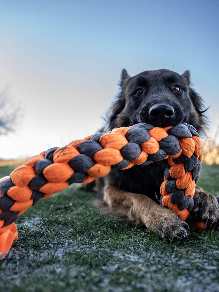 TrendPet Zergel, Zerrspielzeug, Spielzeug für Hunde (6,0x60cm), 6,0x60cm