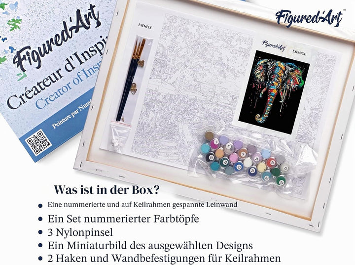 Figured'Art Malen Nach Zahlen Erwachsene Das Kätzchen mit dem Perlenohrgehänge - Paint by Numbers Ba