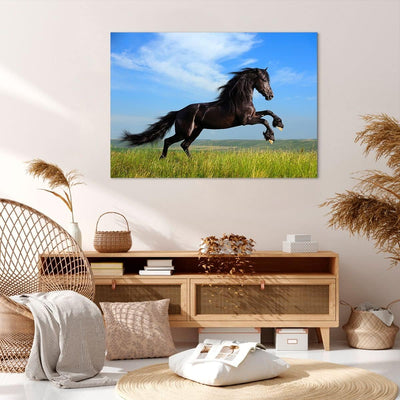 Bilder auf Leinwand 100x70cm Leinwandbild Schwarzes Pferd Pferd Galopp Gross Wanddeko Bild Schlafzim