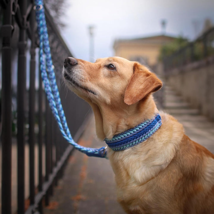 Hunde Halsband aus Paracord geflochten - Nachhaltig & Handgefertigt - Dog Collar - Breites Hundehals