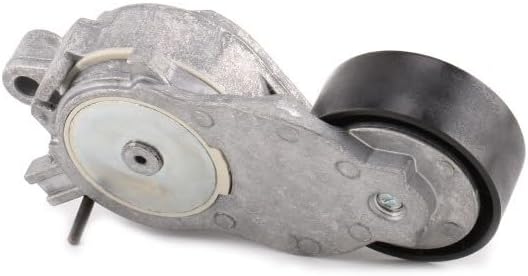 GATES Micro-V Kit K026PK975