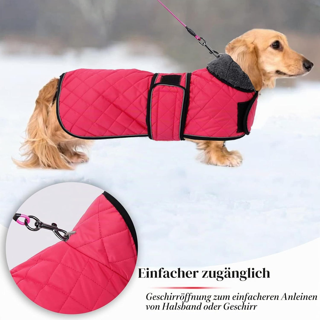 Geyecete - Warmer wintermantel für dackel Hunde,Hunde winterjacken mit plüschfutter,Outdoor jacken m