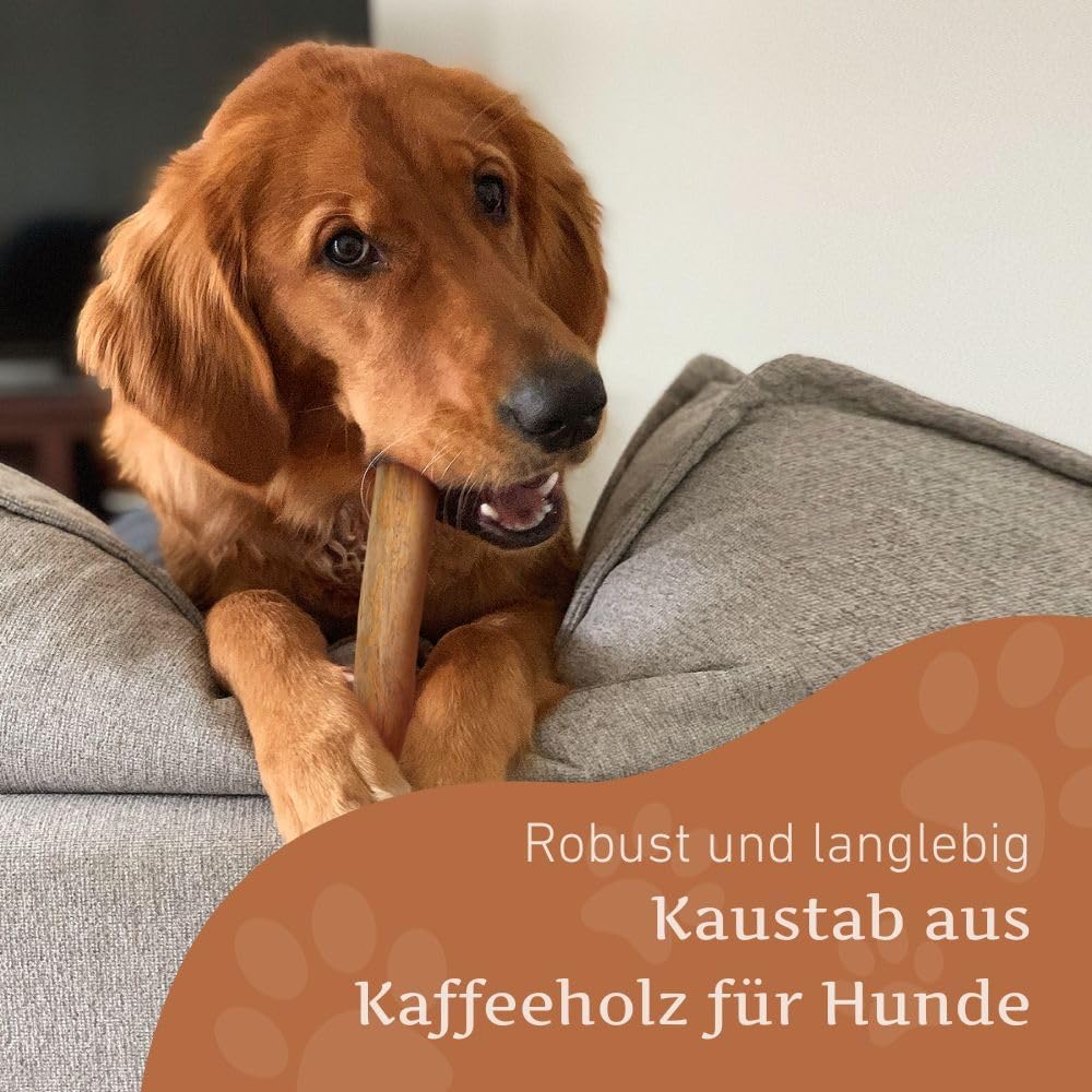 Wildfang Hundekaustab aus Arabica-Kaffeeholz Gr. L 1 stück (1er Pack), 1 stück (1er Pack)