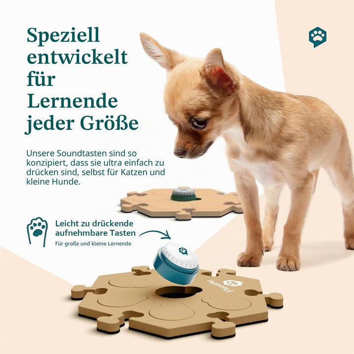 FluentPet Classic Vokabel-Set mit klarerem, nach Oben gerichtetem Ton – 12 bespielbare Tasten mit vo