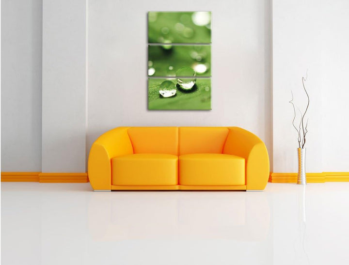 Pixxprint Wassertropfen auf Blatt als Leinwandbild | Grösse: 3 Teilig (120x80) | Wandbild| Kunstdruc