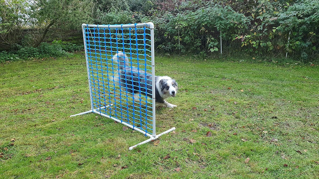 Generisch HOOPERS Agility Combi-Set, 1 Gate/Zaun blau, 3 Bögen rot-blau-gelb | NADAC Hoopers Gate, F