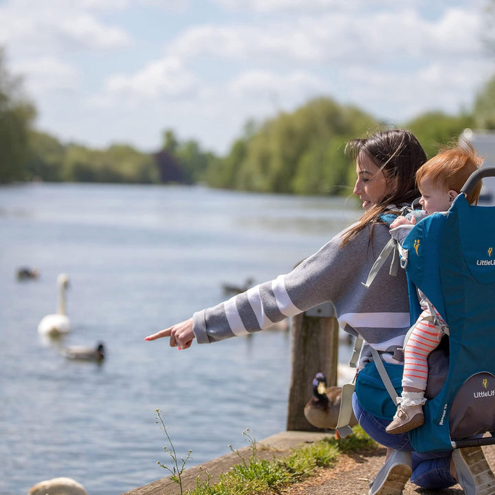 LittleLife Ranger S2 Kindertrage | Babytrage