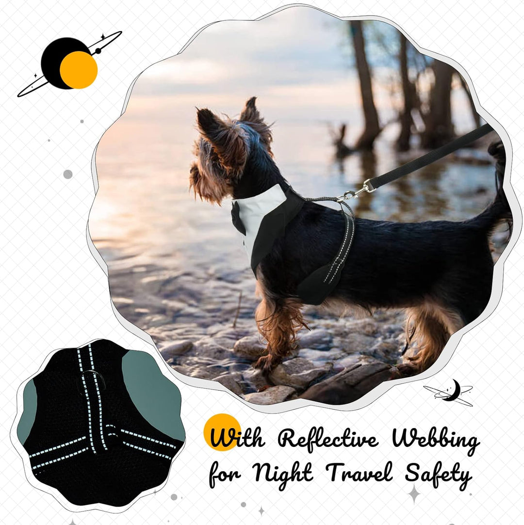 Hunde-Smokinggeschirr mit Leine, formelles Welpengeschirr mit Fliege, kein Ziehen, Hundegeschirr für