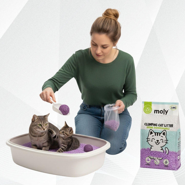 MOLY 2 x Tofu und Lavendel-Katzenstreu, 5,6 kg, 7,4 l, biologisch abbaubar und saugfähig, mit Lavend