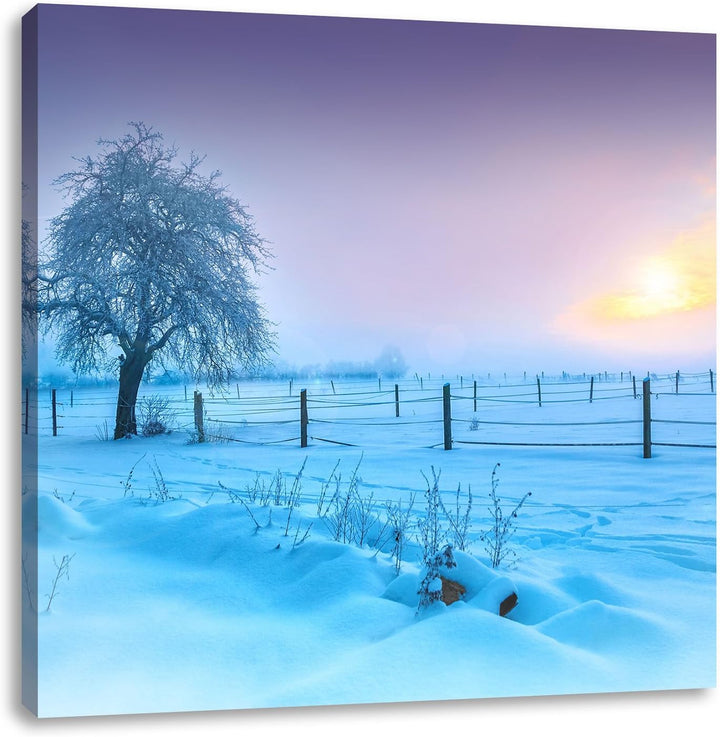 Baum in Winterlandschaft, Format: 70x70 auf Leinwand, XXL riesige Bilder fertig gerahmt mit Keilrahm