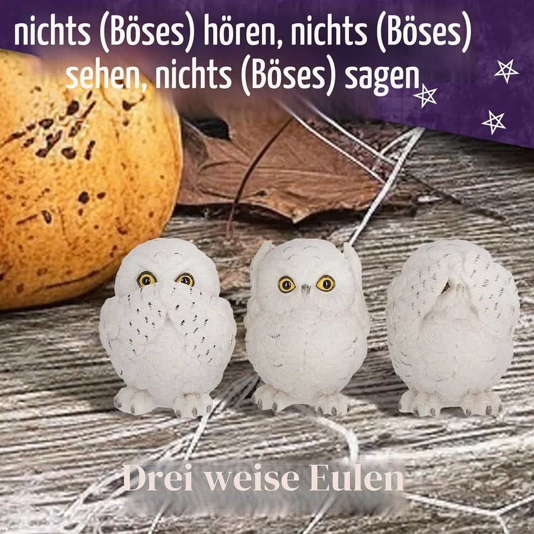 Nemesis Now Figur DREI weise Eulen, 8 cm, Weiss