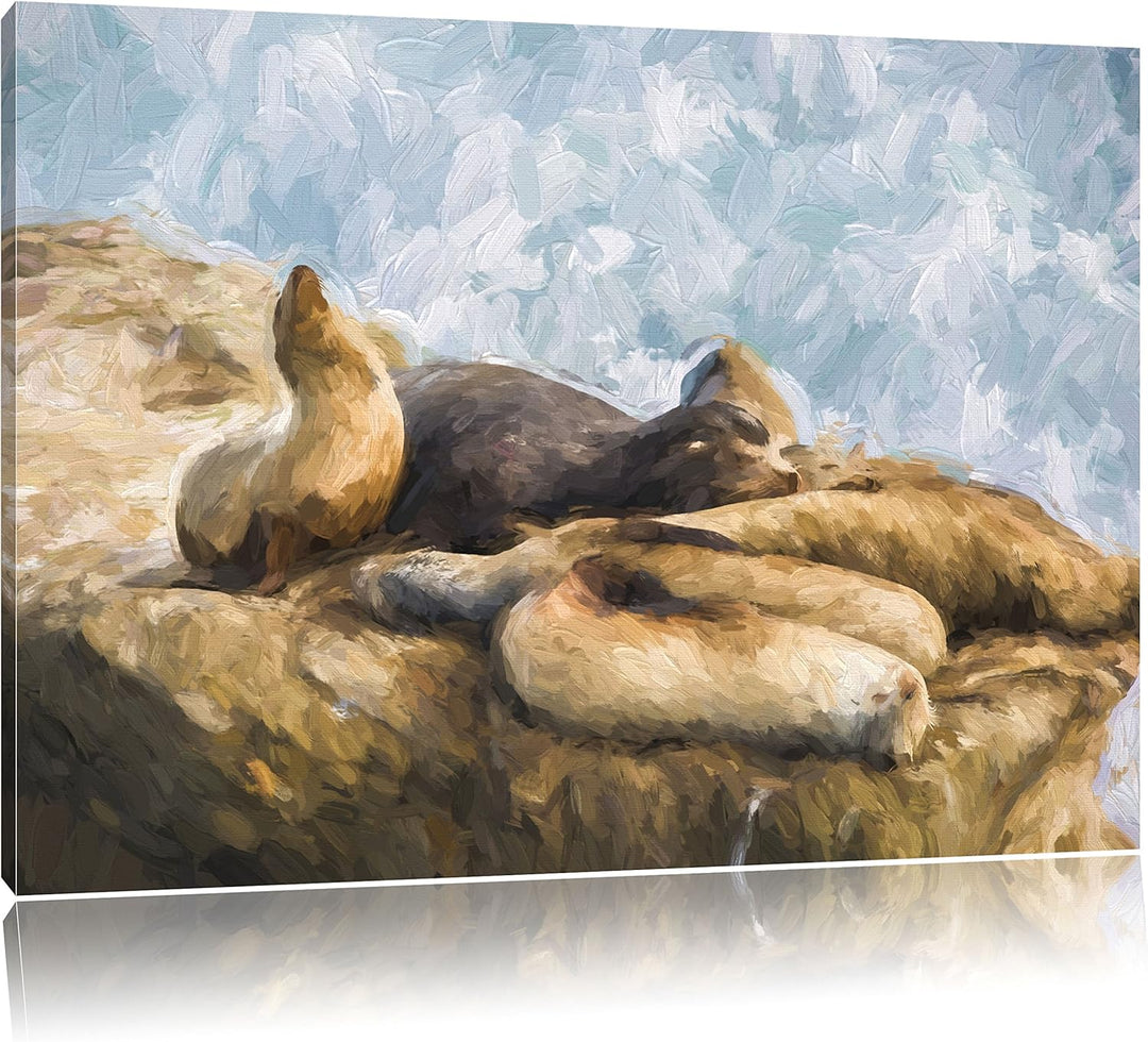 Pixxprint Gruppe von Seelöwen an Einer Bucht als Leinwandbild/Grösse: 100x70 / Wandbild/Kunstdruck/f