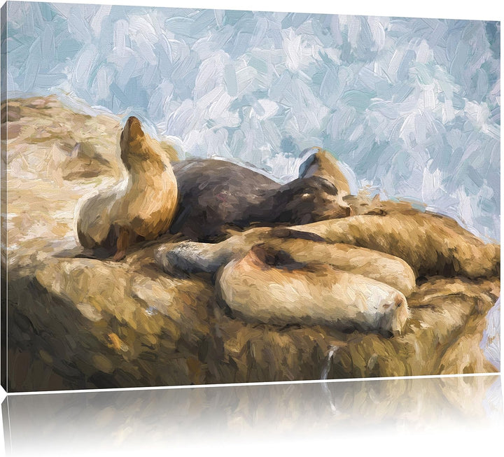 Pixxprint Gruppe von Seelöwen an Einer Bucht als Leinwandbild/Grösse: 100x70 / Wandbild/Kunstdruck/f