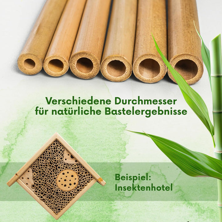 Bambusröhrchen für Insektenhotel | 15 cm lang | 100 Stück | Bambus Nisthülsen für Wildbienen | Füllm