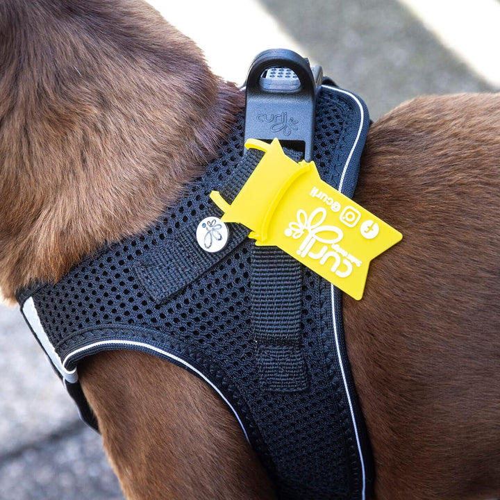 Curli Harness Air Mesh mit curli D-Ring Buckle Mandarin 2XS mit curli D-Ring Buckle 2XS Mandarin, mi