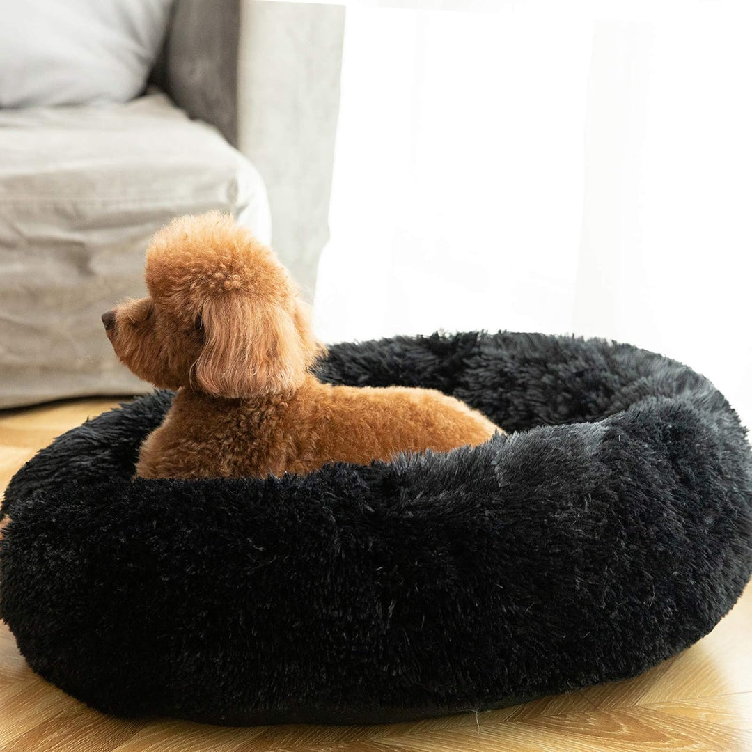 HACHIKITTY Tierhaarschneidemaschine Hundeschermaschine M (24 X 24") schwarz, M (24 X 24") schwarz