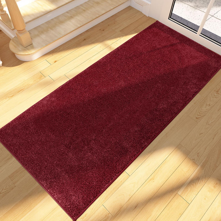 FCSDETAIL Schmutzfangmatte Innen Lang 60 x 150 cm, rutschfeste waschbare Fussmatte, Sauberlaufmatte,