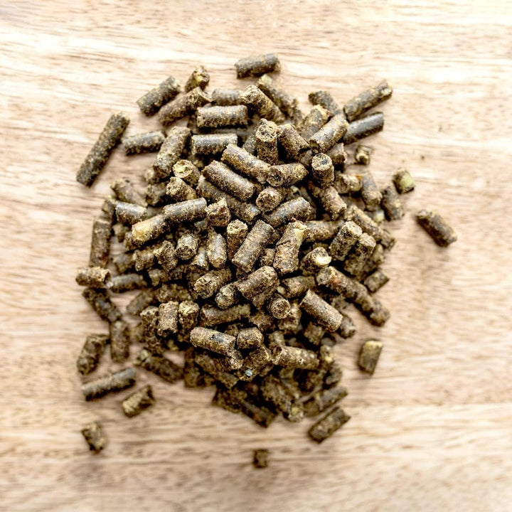 St. Hippolyt Knoblizem 25 kg