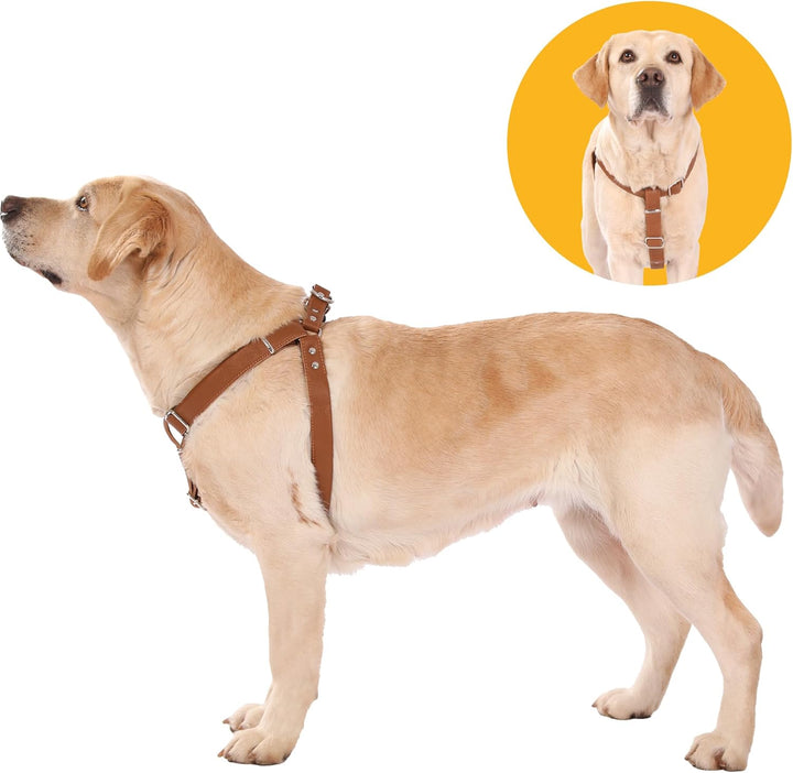Hundegeschirr Leder Softgeschirr Verstellbare Brustgeschirre Norweger Haustier Ledergeschirr Weichem