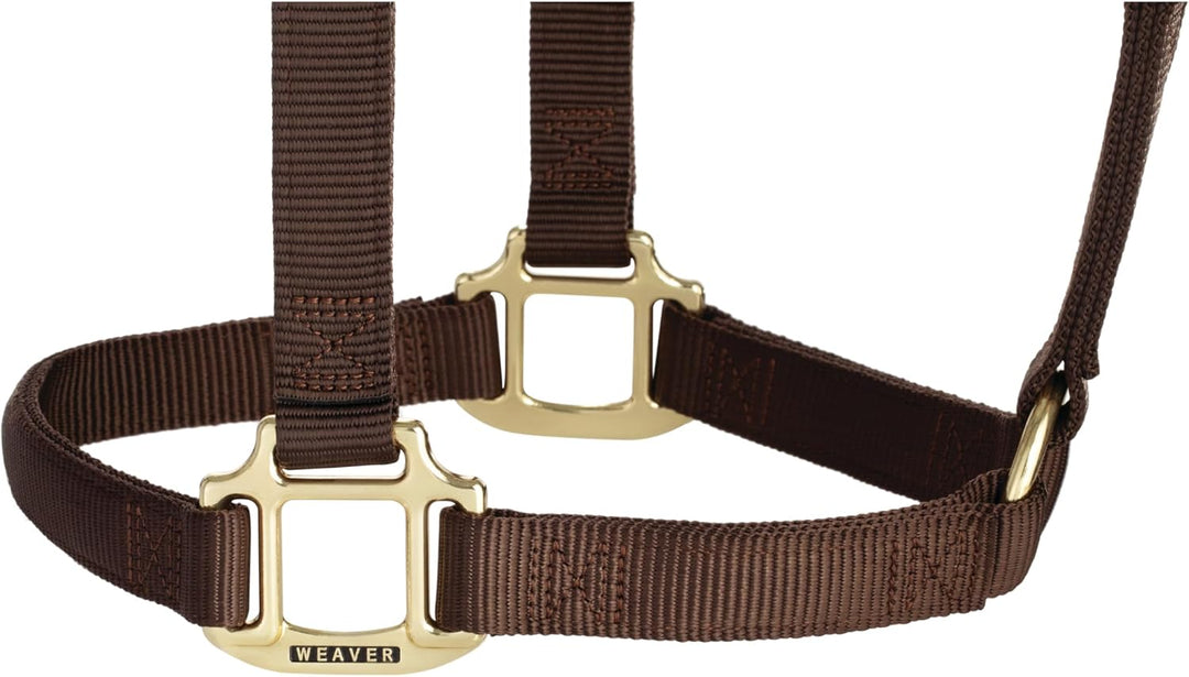 WEAVER Leather, Nicht verstellbares Halfter Braun Average Horse, Braun Average Horse