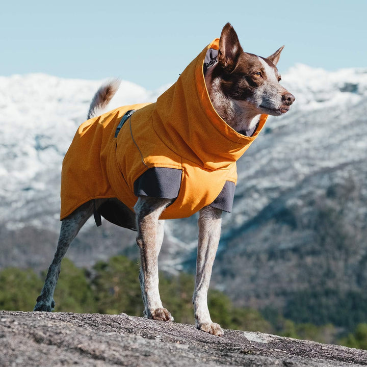 Hurtta Expedition Parka Wintermantel für kleine Hunde, Hundemantel Sanddorn, orange 25 Sanddorn 25,