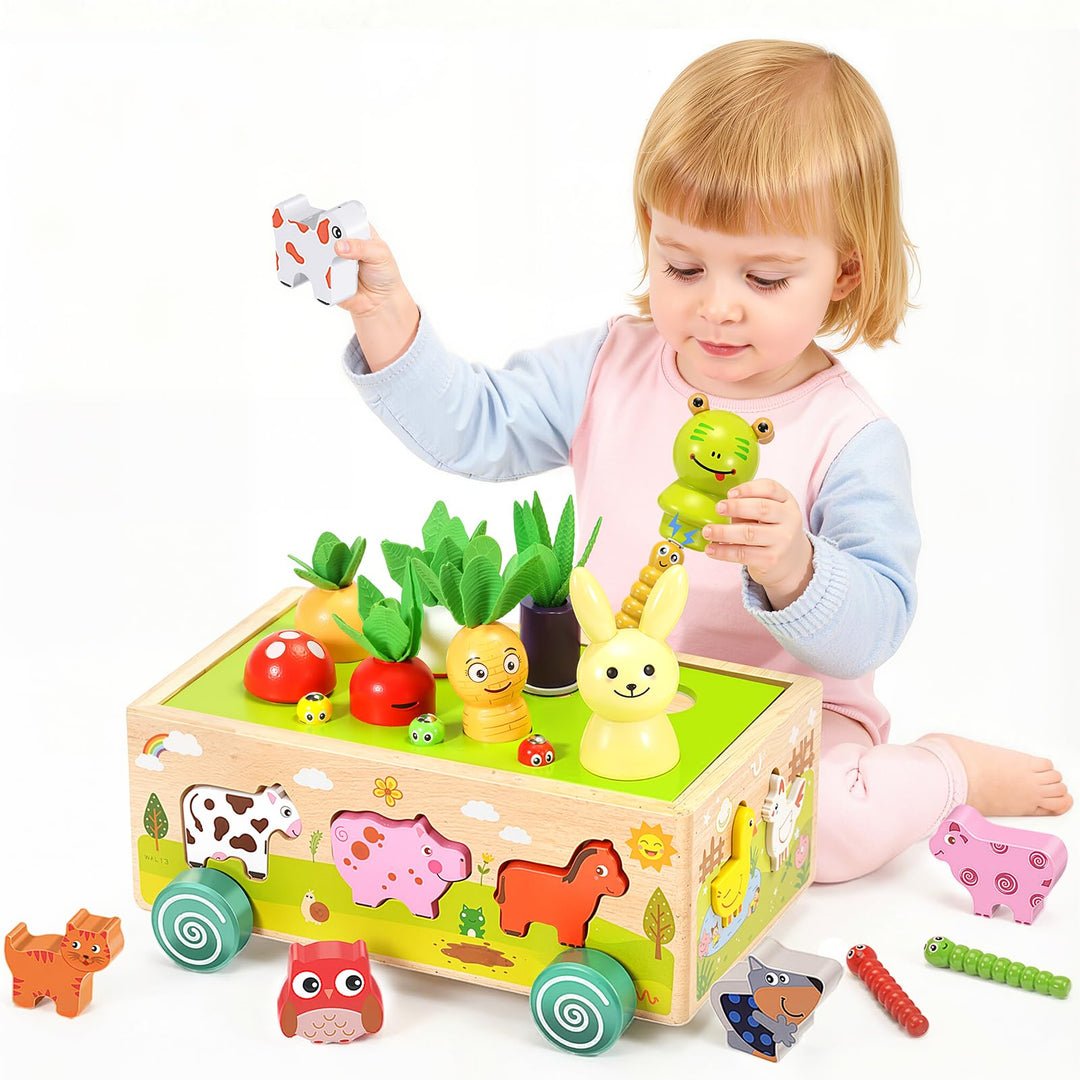 Montessori-Holzspielzeug ab 1 Jahr: Formsortierer Steckspiel &amp; Motorikspielzeug für Jungen &amp; Mädchen