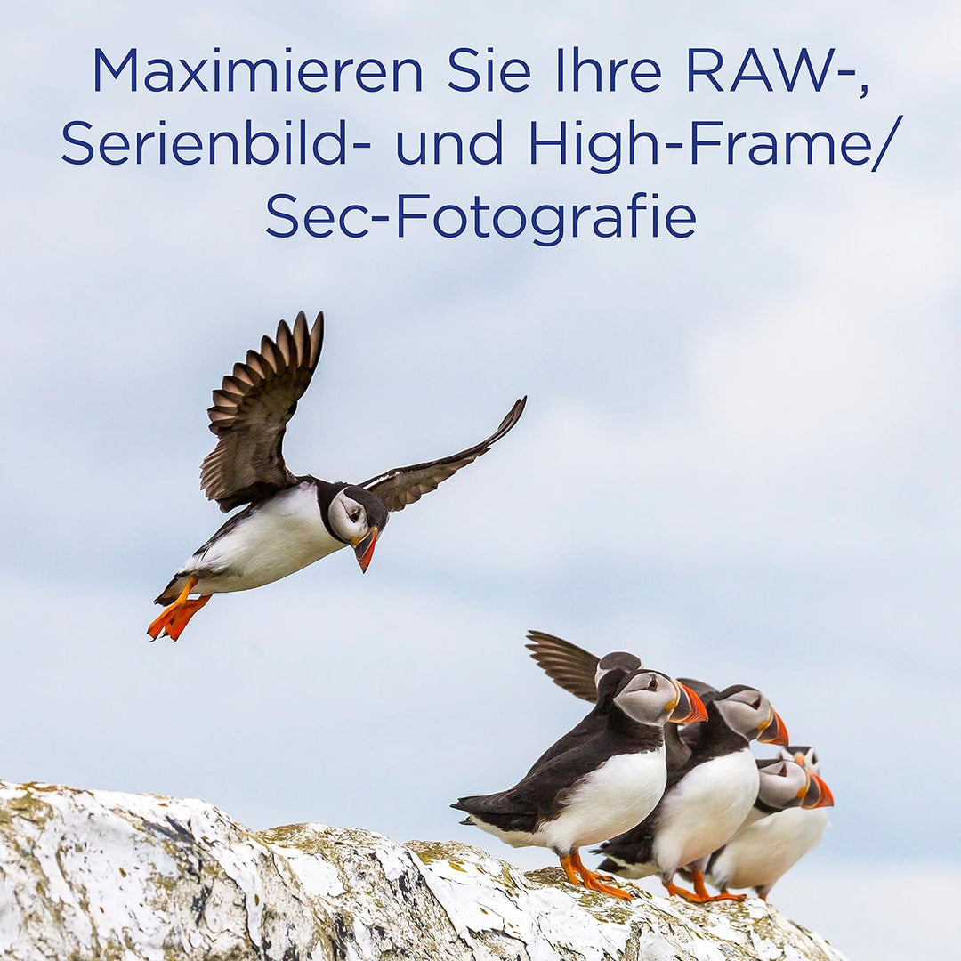 Integral 64GB Compact Flash Karte UDMA-7 1066x Speed VPG-65 160MB/s Lesen und 135MB/s Beschreiben Pr