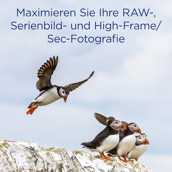 Integral 64GB Compact Flash Karte UDMA-7 1066x Speed VPG-65 160MB/s Lesen und 135MB/s Beschreiben Pr