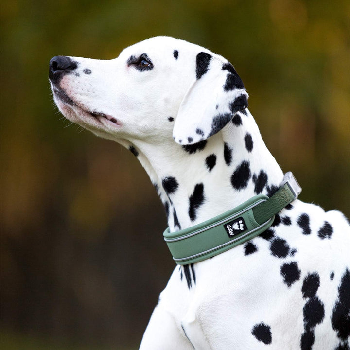 Hurtta Weekend Warrior ECO Hundehalsband, Hecke, 55,9–66 cm 22-26 in Hecke, 22-26 in Hecke
