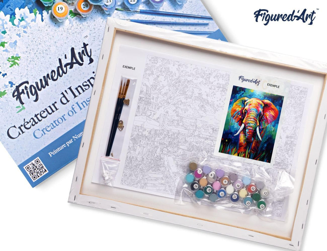 Figured'Art Malen Nach Zahlen Erwachsene Mit Rahmen Elefant Farbenfroh Abstrakt - Paint by Numbers B