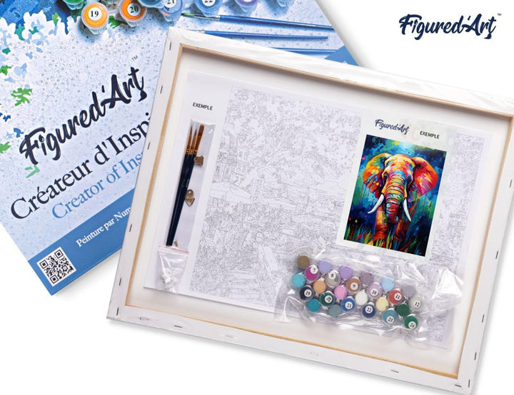 Figured'Art Malen Nach Zahlen Erwachsene Mit Rahmen Elefant Farbenfroh Abstrakt - Paint by Numbers B