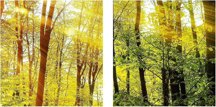 Runa Art Bild Wald Landschaft Wandbilder auf Vlies Leinwand 5 Teilig Wanddekoration Schlafzimmer Woh