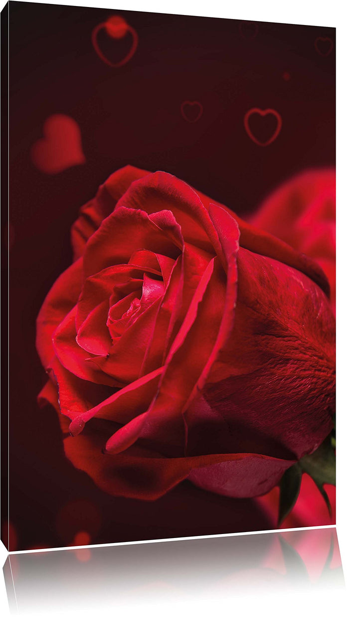 Rote Rosen Valentinstag, Format: 100x70 auf Leinwand, XXL riesige Bilder fertig gerahmt mit Keilrahm