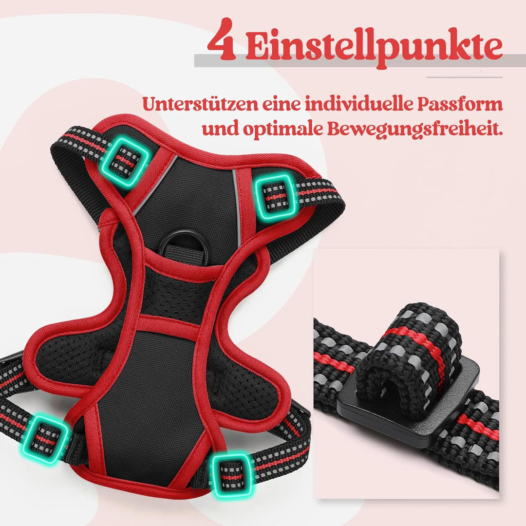 rabbitgoo Hundegeschirr Kleine Hunde, Anti Zug Geschirr mit Kontrolle, No Pull Verstellbar Hundegesc
